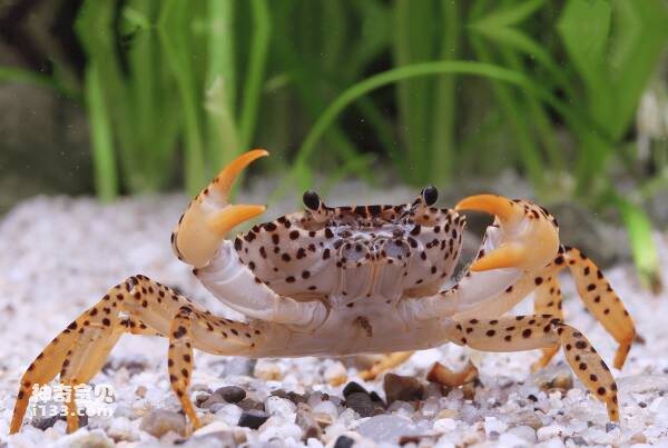 2024031259762737.jpg 22(1).jpg