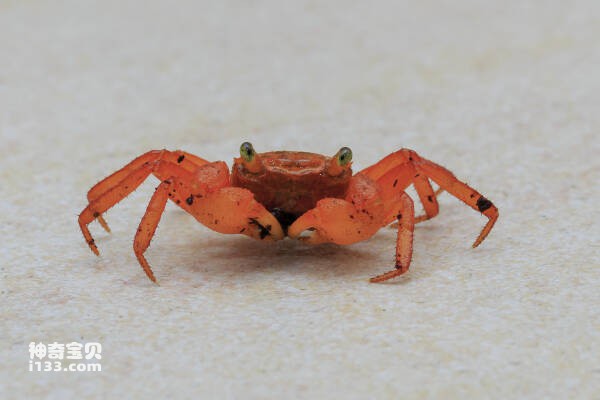 2024031273605746.jpg 4.jpg