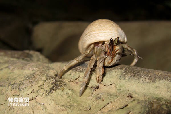 2024031274064289.jpg 5.jpg