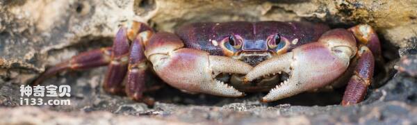 2024031278305295.jpg 77.jpg