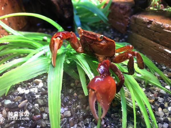 2024031285325664.jpg 1.jpg