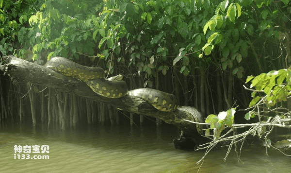 2024032114521322.png 4.png