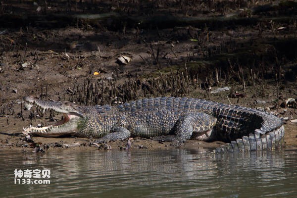 2024032121105520.jpg 2.jpg