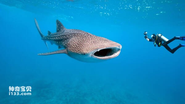 2024032172769060.jpg 1.jpg