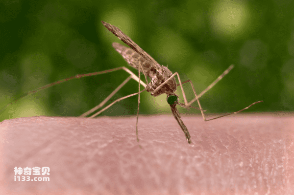 2024032212952275.png 4.png