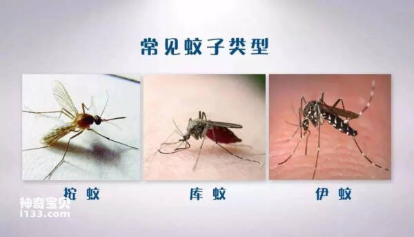 2024032218627962.jpg 114.jpg