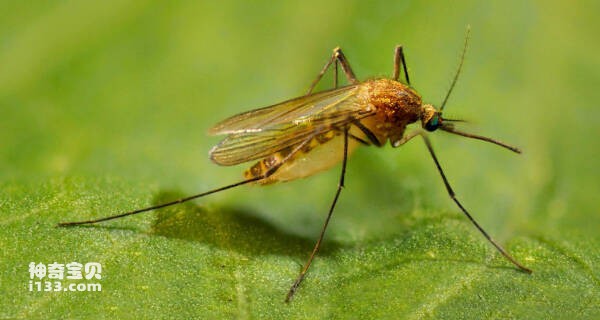 2024032241390231.jpg 8.jpg