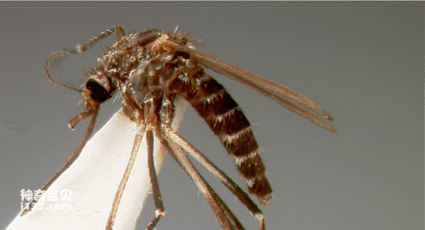 2024032273663703.png 5.png