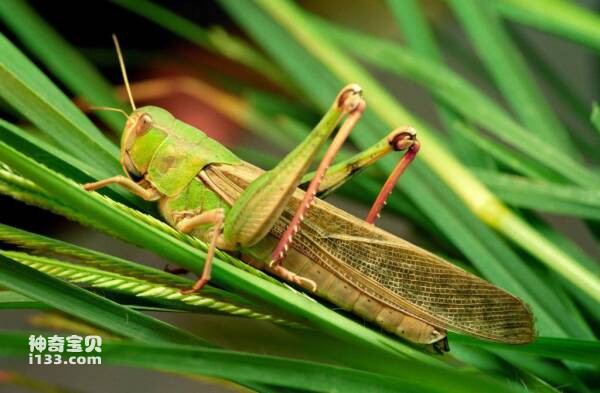 2024032310885513.jpg 2.jpg