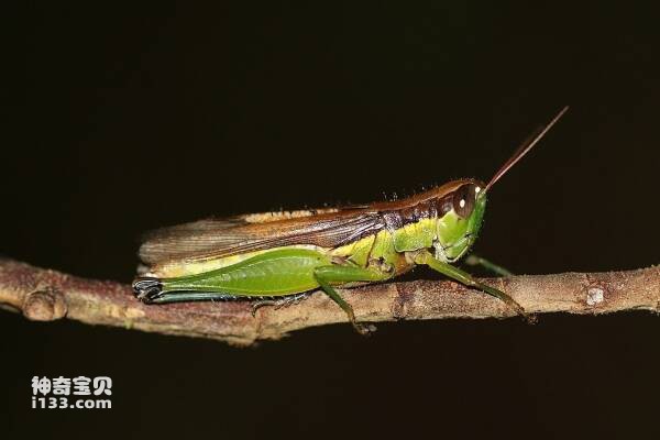 2024032313234386.jpg 8.jpg