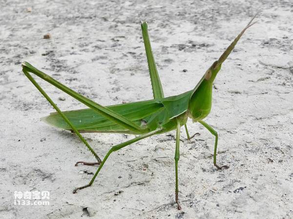 2024032330359352.jpg 12.jpg