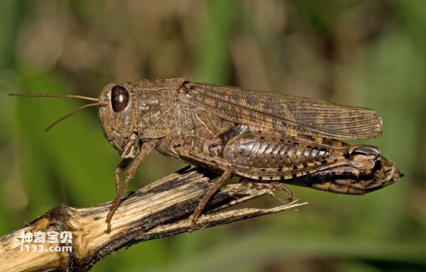 2024032397463176.jpg 4.jpg