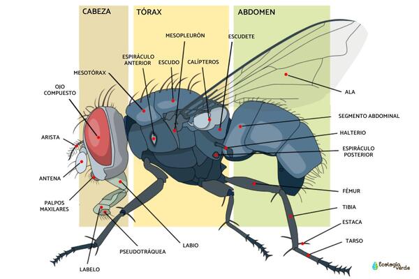 2024032510346932.jpeg 112.jpeg