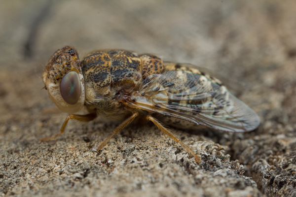 2024032512222931.jpeg 7.jpeg