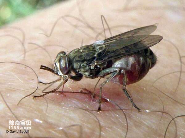 2024032515007747.jpg 1.jpg