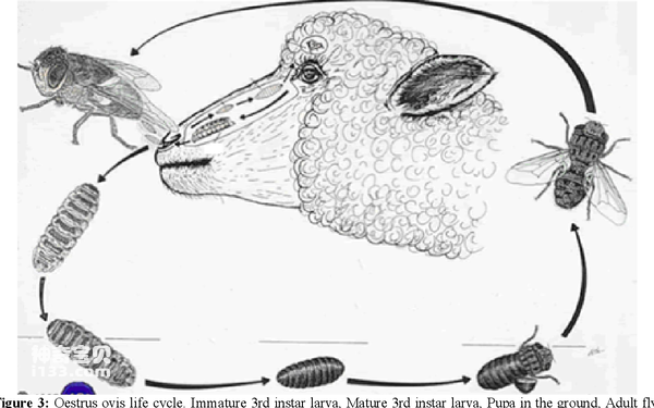 2024032515669110.png 77.png