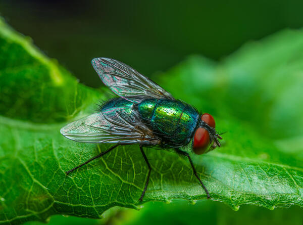 2024032516031772.jpeg 8.jpeg