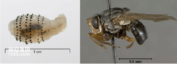 2024032520165971.png 2.png