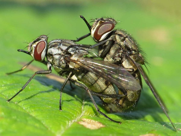 2024032545426774.jpeg 6.jpeg