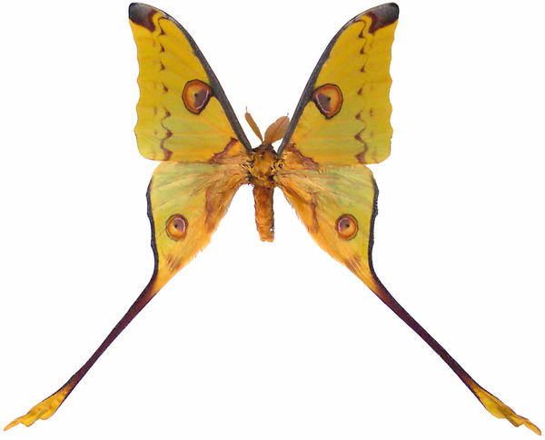 2024032610578548.jpeg 5.jpeg