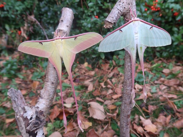 2024032611709233.jpeg 4.jpeg