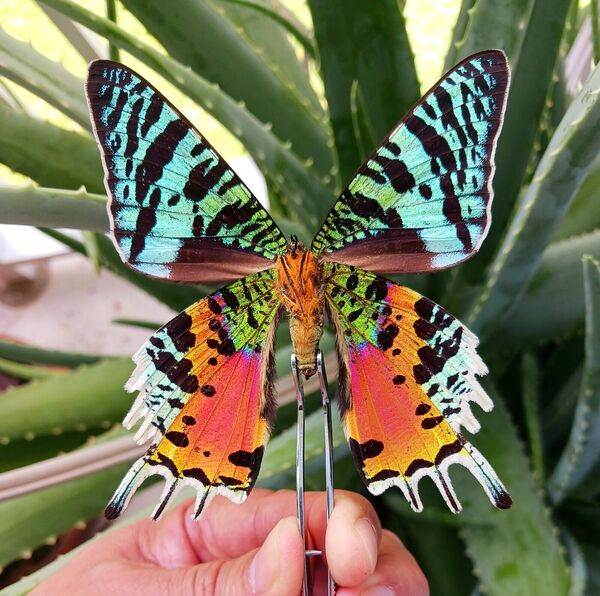 2024032611918112.jpeg 1.jpeg