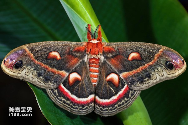 2024032612786827.jpg 16.jpg