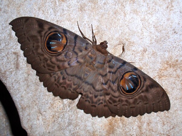 2024032616819065.jpeg 13.jpeg