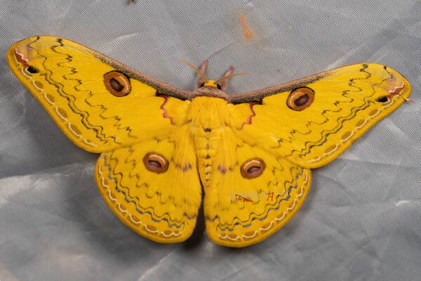 2024032619799292.jpeg 12.jpeg