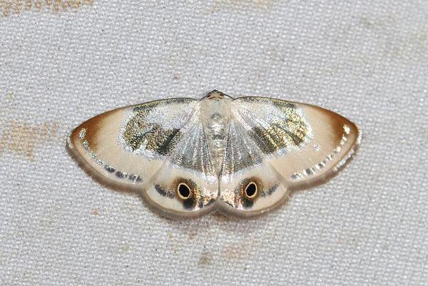 2024032646625236.jpeg 18.jpeg