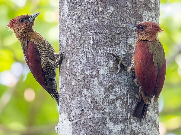 2024040818781092.jpeg 113.jpeg