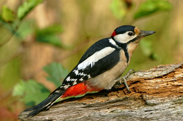 2024040821134425.jpeg 3.jpeg