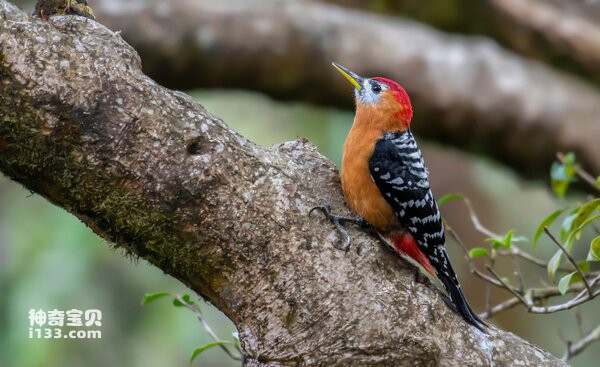 2024040857674001.jpg 1.jpg