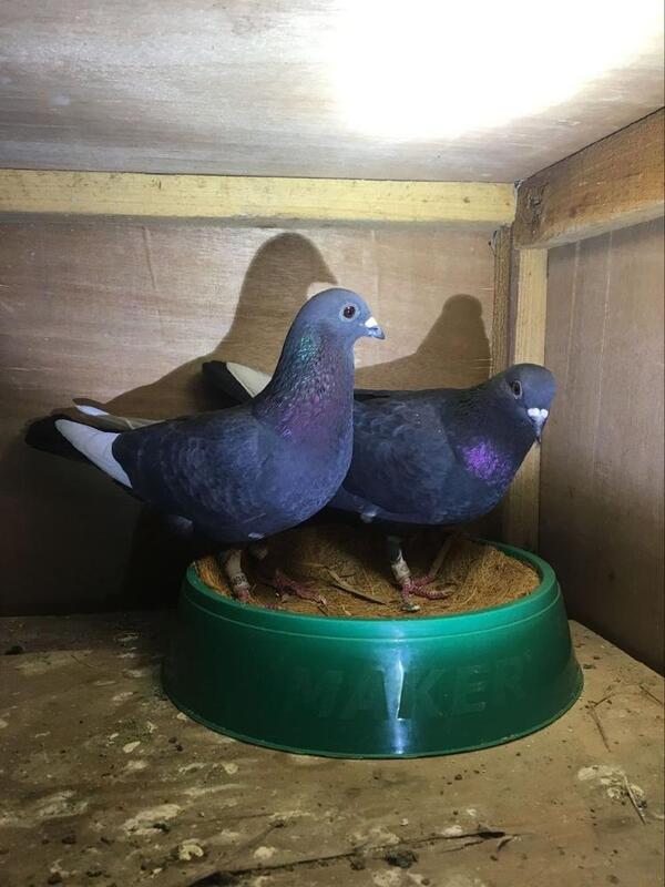 2024041015645896.jpeg 4.jpeg