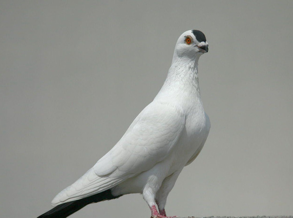 2024041017968139.jpeg 2.jpeg