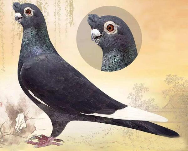 2024041031824243.jpeg 1.jpeg