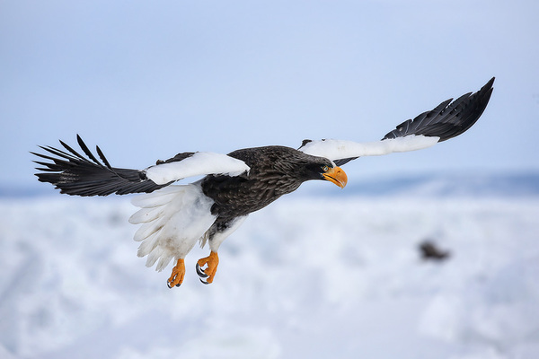 2024041111879883.jpeg 66.jpeg