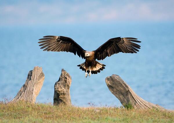 2024041112371749.jpeg 99.jpeg