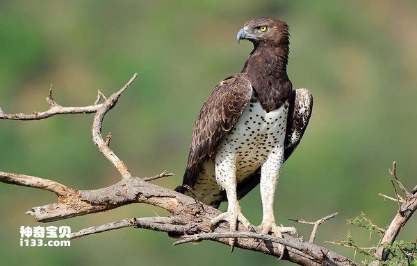 2024041112478093.jpg 22.jpg