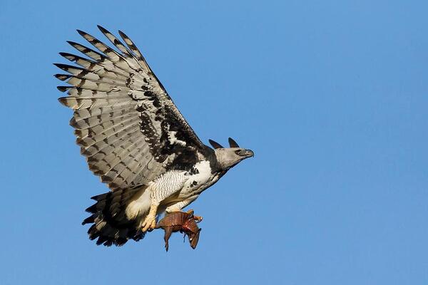 2024041117785431.jpeg 33.jpeg