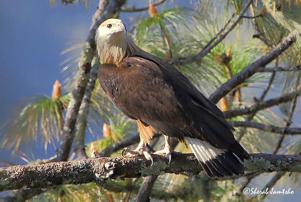 2024041120183289.jpeg 9.jpeg