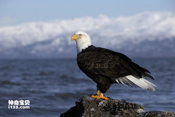 2024041167966674.jpg 88.jpg