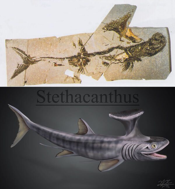 2024041215772241.jpeg 22.jpeg