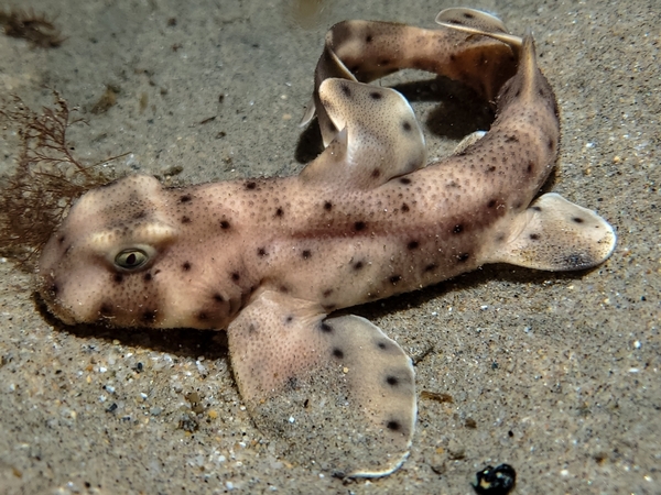 2024041216727972.jpeg 10.jpeg