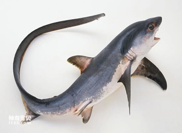 2024041221314080.jpg 55.jpg