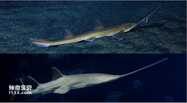 2024041226843378.jpg 66.jpg