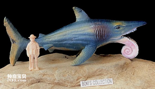 2024041229676393.jpg 88.jpg