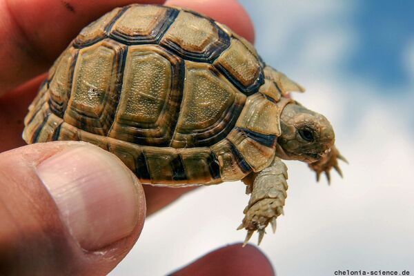 2024041510445599.jpeg 112.jpeg