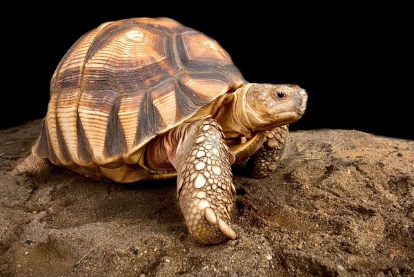 2024041548259078.jpeg 9.jpeg