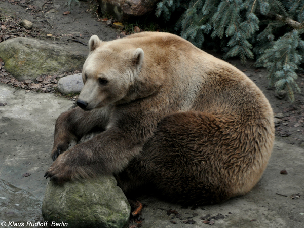 2024041848072914.jpeg 4.jpeg